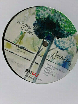 Vinyylilevy Avishai Cohen - Arvoles (LP) - 6