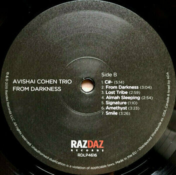 Vinylplade Avishai Cohen - From Darkness (LP) - 4