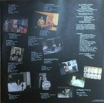 LP deska Phil Collins - But Seriously (Deluxe Edition) (LP) - 10