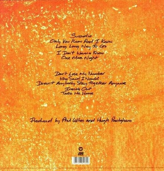 Hanglemez Phil Collins - No Jacket Required (Deluxe Edition) (LP) - 2