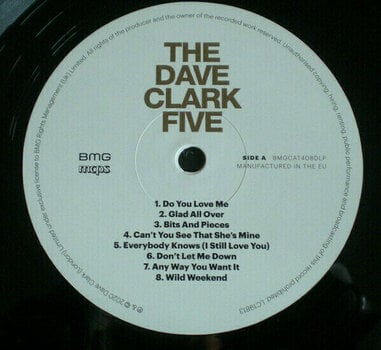 Vinyl Record The Dave Clark Five - All The Hits (LP) - 7