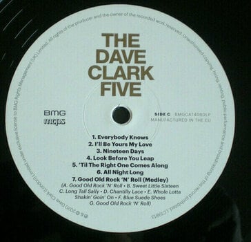 Vinyl Record The Dave Clark Five - All The Hits (LP) - 11