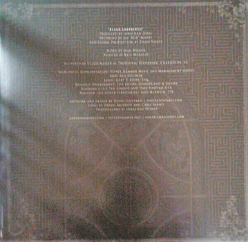 Vinyl Record Jonathan Davis - Black Labyrinth (LP) - 2