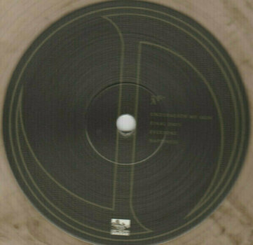 Vinyl Record Jonathan Davis - Black Labyrinth (LP) - 4