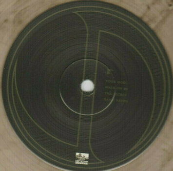 Disco de vinil Jonathan Davis - Black Labyrinth (LP) - 5