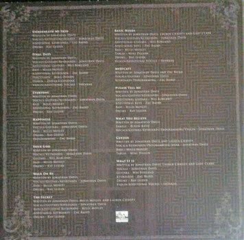 Płyta winylowa Jonathan Davis - Black Labyrinth (LP) - 6