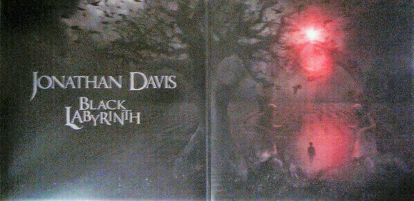 Płyta winylowa Jonathan Davis - Black Labyrinth (LP) - 7