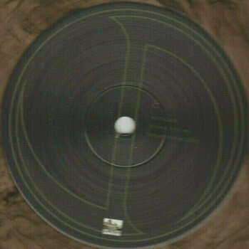Disco de vinilo Jonathan Davis - Black Labyrinth (LP) - 9