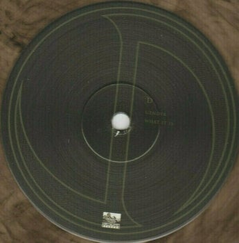 Płyta winylowa Jonathan Davis - Black Labyrinth (LP) - 10