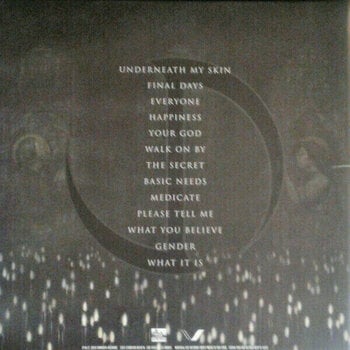 Vinyl Record Jonathan Davis - Black Labyrinth (LP) - 12