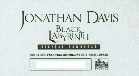 Hanglemez Jonathan Davis - Black Labyrinth (LP) - 13