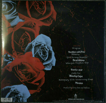 Vinyl Record Deftones - Deftones (LP) - 2