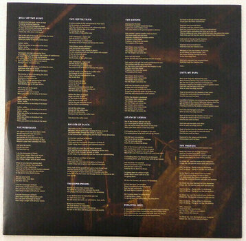 Vinyl Record Diamond Head - The Coffin Train (LP) - 5