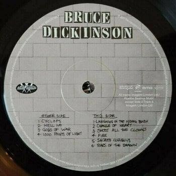 Vinyl Record Bruce Dickinson - Balls To Picasso (LP) - 3