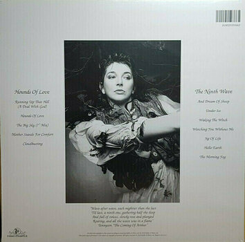 Vinyl Record Kate Bush - Hounds Of Love (LP) - 4