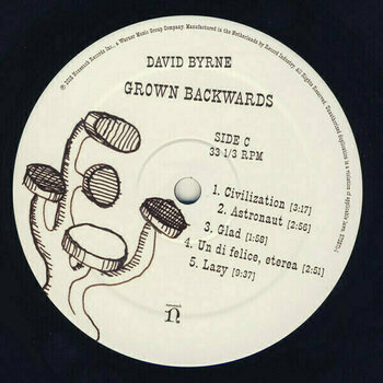 Disque vinyle David Byrne - Grown Backwards (LP) - 9