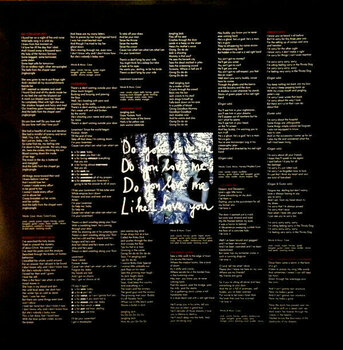 LP platňa Nick Cave & The Bad Seeds - Let Love In (LP) - 4