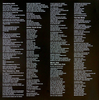 Vinyl Record Disturbed - Immortalized (LP) - 7