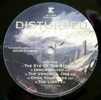 Vinyl Record Disturbed - Immortalized (LP) - 10