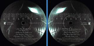 Vinylplate Disturbed Evolution (Vinyl LP) - 3