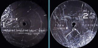 Schallplatte Disturbed - Indestructible (LP) - 1