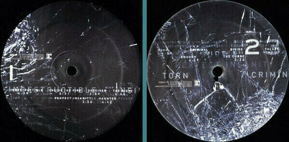 Disco de vinilo Disturbed - Indestructible (LP) - 3