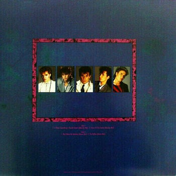 Vinyl Record Duran Duran - Seven & The Ragged Tiger (Special Edition) (LP) - 9