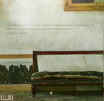 Płyta winylowa Enya - A Day Without Rain (LP) - 6