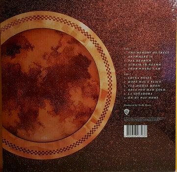 Δίσκος LP Enya - The Memory Of Trees (LP) - 2