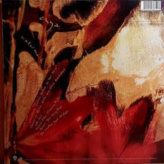LP platňa Enya - Watermark (LP) - 5