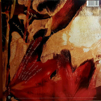 Schallplatte Enya - Watermark (LP) - 6