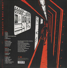 Disc de vinil Faith No More - King For A Day, Fool For A Life (LP) - 5