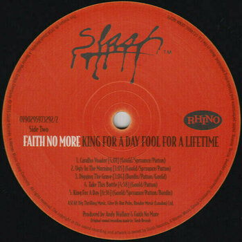 Płyta winylowa Faith No More - King For A Day, Fool For A Life (LP) - 5
