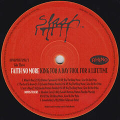 Disc de vinil Faith No More - King For A Day, Fool For A Life (LP) - 3