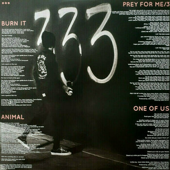 Vinyl Record Fever 333 - Strength In Numb333Rs (LP) - 7