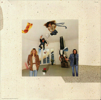 Vinyylilevy Fleetwood Mac - Tusk (Silver Vinyl Album) (LP) - 10