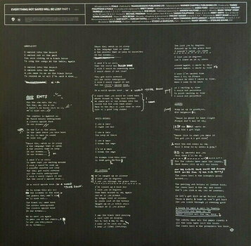 Disque vinyle Foals - Everything Not Saved Will Be Lost Part 1 (LP) - 5