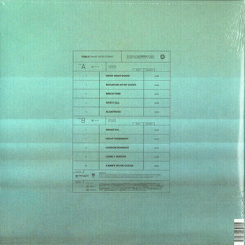 Disque vinyle Foals - What Went Down (LP) - 6