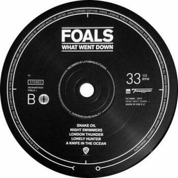 Vinyl Record Foals - What Went Down (LP) - 3