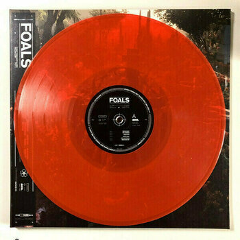 Disco in vinile Foals - Everything Not Saved Will Be Lost Part 2 (Coloured Vinyl) (LP) - 2