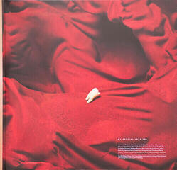 Disc de vinil Kovacs - Cheap Smell (Limited Edition) (Coloured) (LP) - 4