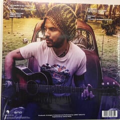 Disc de vinil Lenny Kravitz - Raise Vibration (LP) - 1