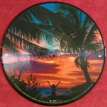 Disque vinyle Lenny Kravitz - Raise Vibration (Limited Edition) (Picture Disc) (LP) - 6
