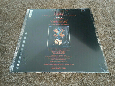 Disque vinyle Daniel Landa - Chciply Dobry Vily (LP) - 3