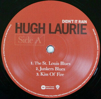 Vinyl Record Hugh Laurie - Didn'T It Rain (LP) - 3