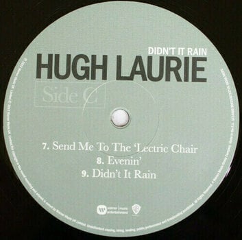 Vinyylilevy Hugh Laurie - Didn'T It Rain (LP) - 5