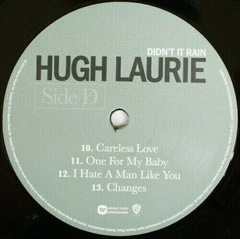 Disque vinyle Hugh Laurie - Didn'T It Rain (LP) - 6
