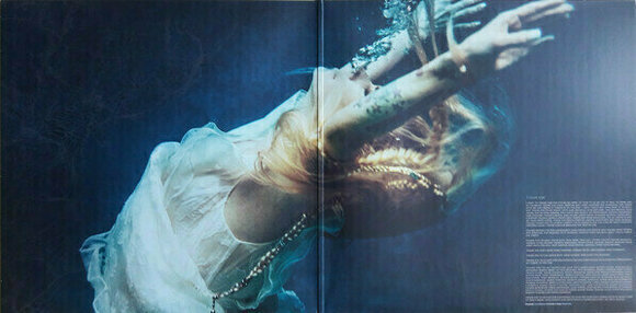 Disc de vinil Avril Lavigne - Head Above Water (LP) - 4