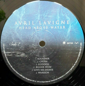 Vinylplade Avril Lavigne - Head Above Water (LP) - 3