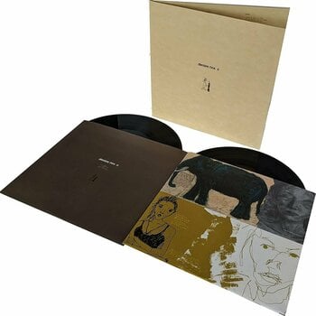 Vinyl Record Damien Rice - O (LP) - 3
